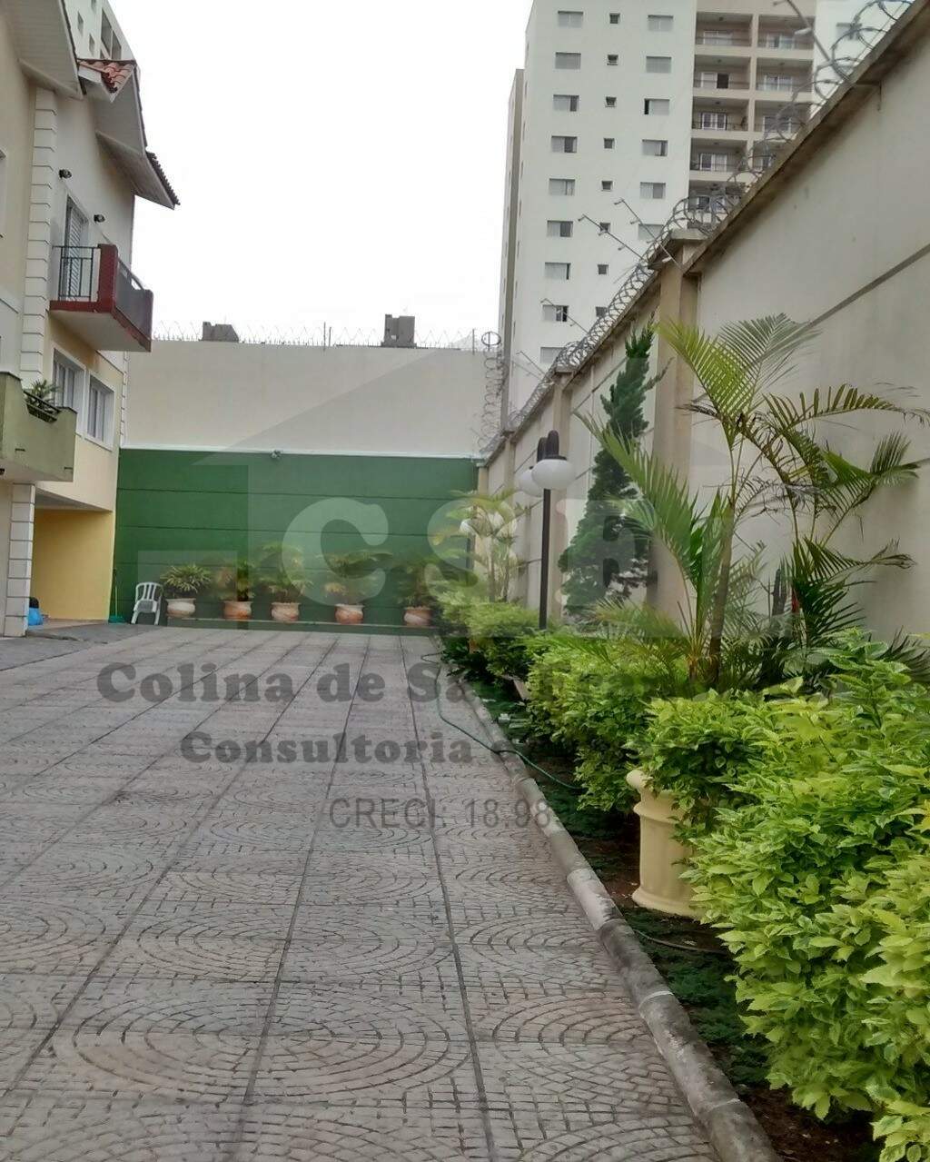 Casa à venda no VILA BUTANTÃ: Foto 03