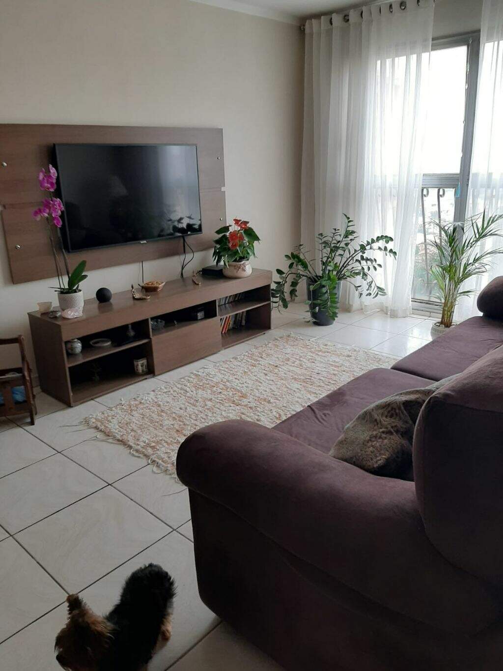 Apartamento à venda no JAGUARÉ: Foto