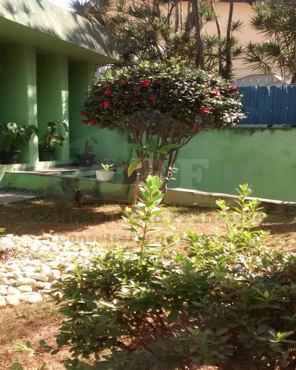 Casa à venda no VILA CAMPESINA: Foto 02