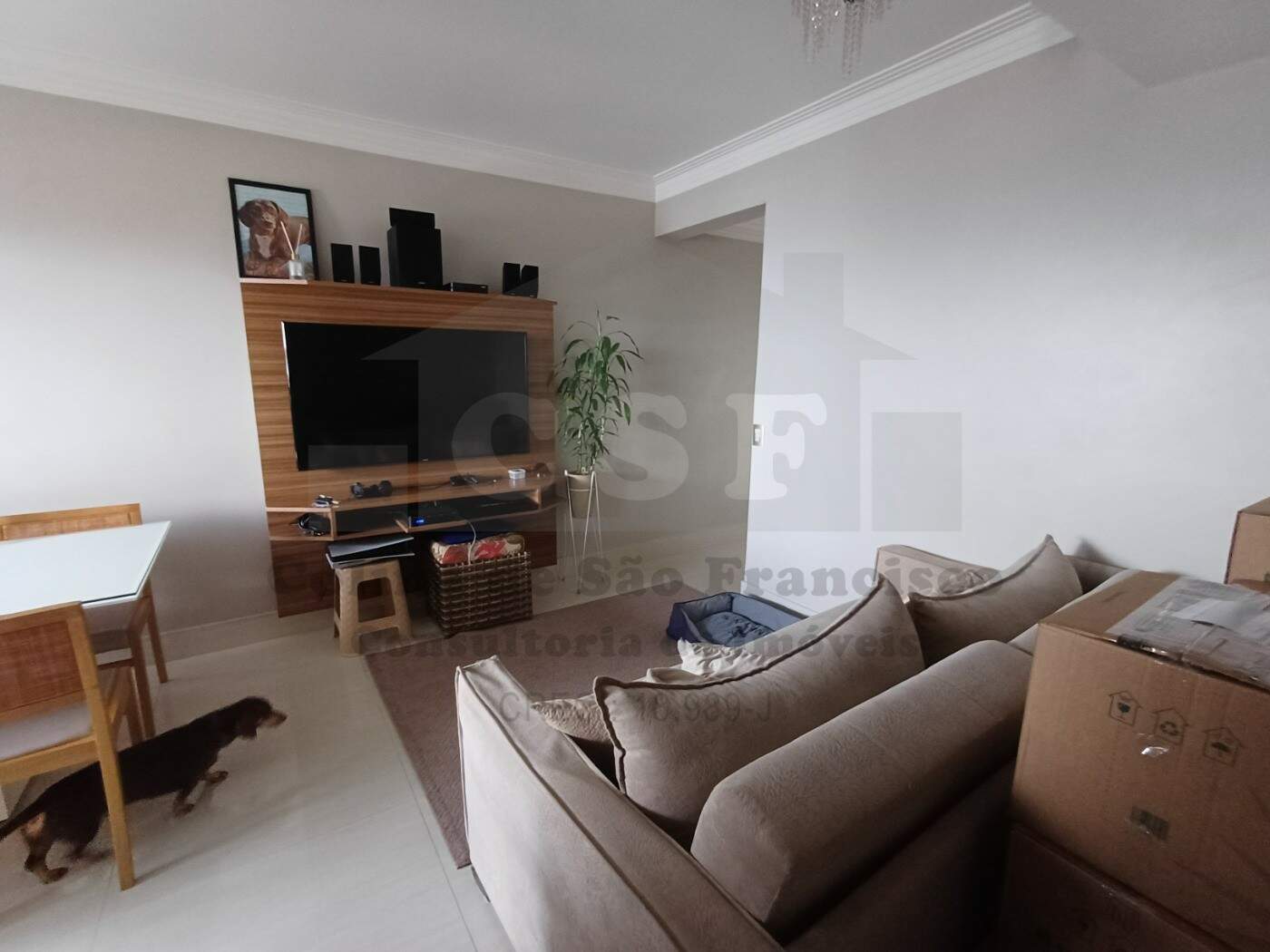 Apartamento à venda no JAGUARÉ: Foto 06