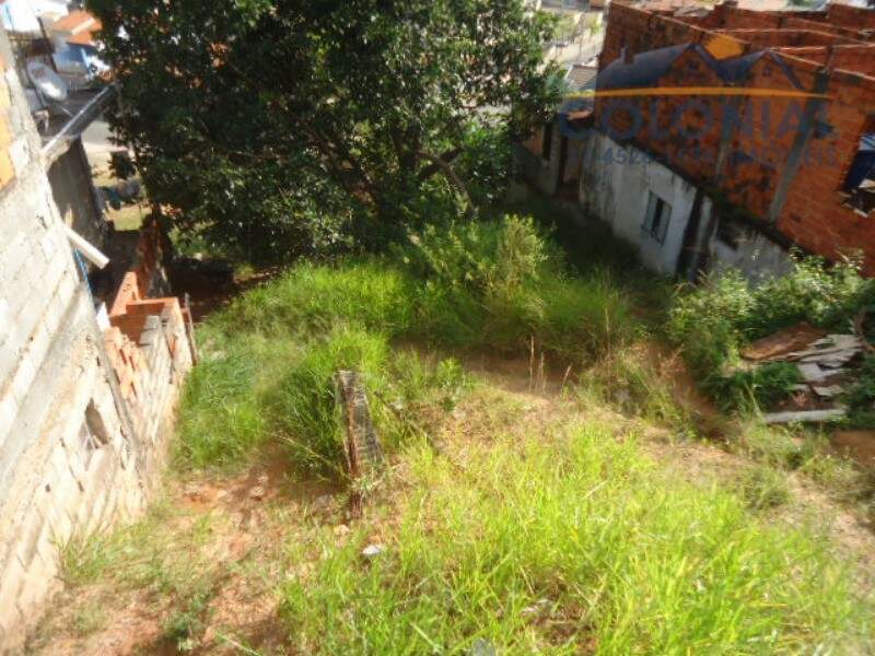 TERRENO à venda no JARDIM DAS PALMEIRAS: Foto 01