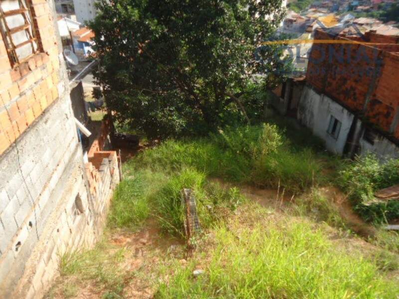 TERRENO à venda no JARDIM DAS PALMEIRAS: Foto 08