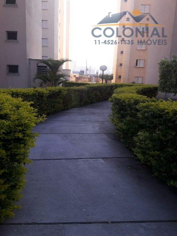 Apartamento à venda no VILA JOANA: Foto 06