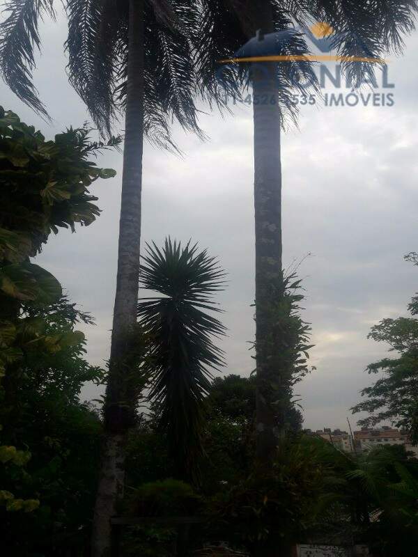 Chácara à venda no CHÁCARA PAI JACÓ: Foto 18