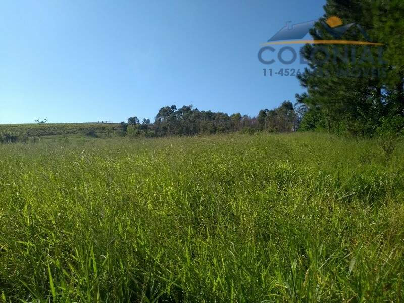 Área à venda no CHAMPIRRA: Foto 12