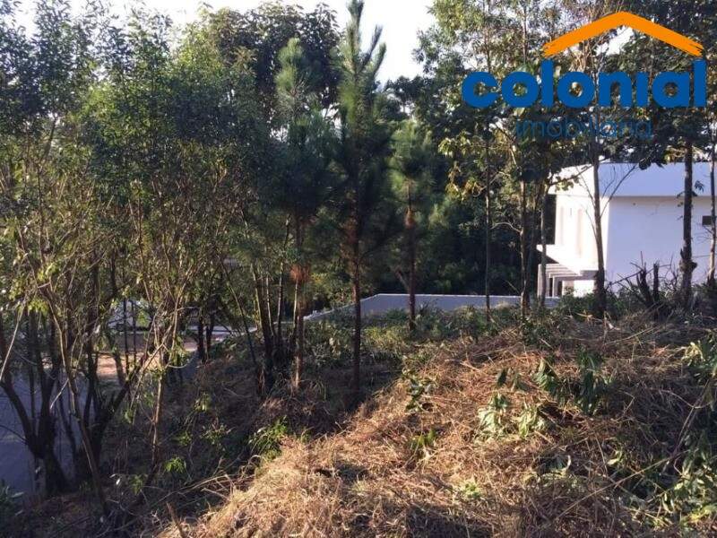 TERRENO à venda no LOTEAMENTO CAPITAL VILLE: Foto 03