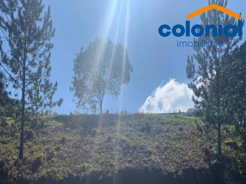 TERRENO à venda no CAMPO LARGO: Foto 01