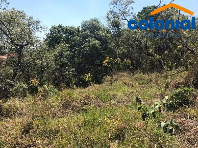 TERRENO à venda no CHÁCARA SAN MARTIN I: Foto 01