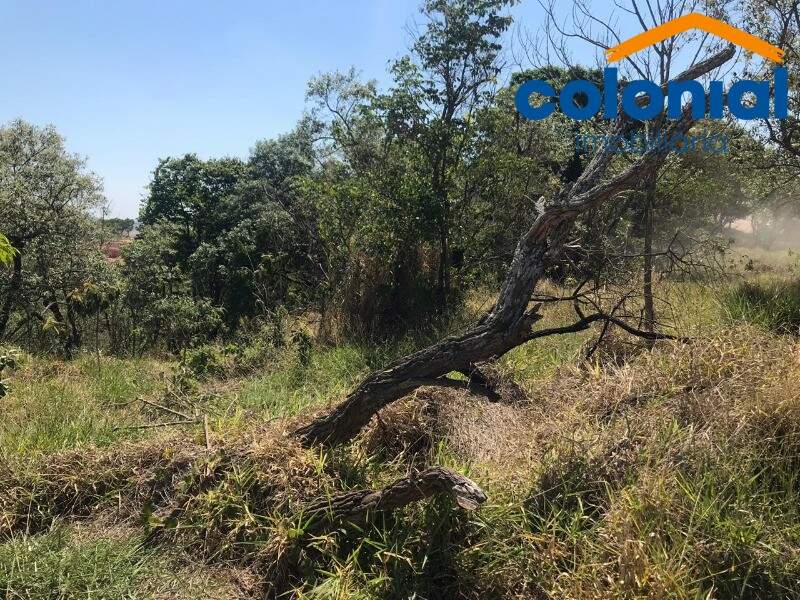 TERRENO à venda no CHÁCARA SAN MARTIN I: Foto 02