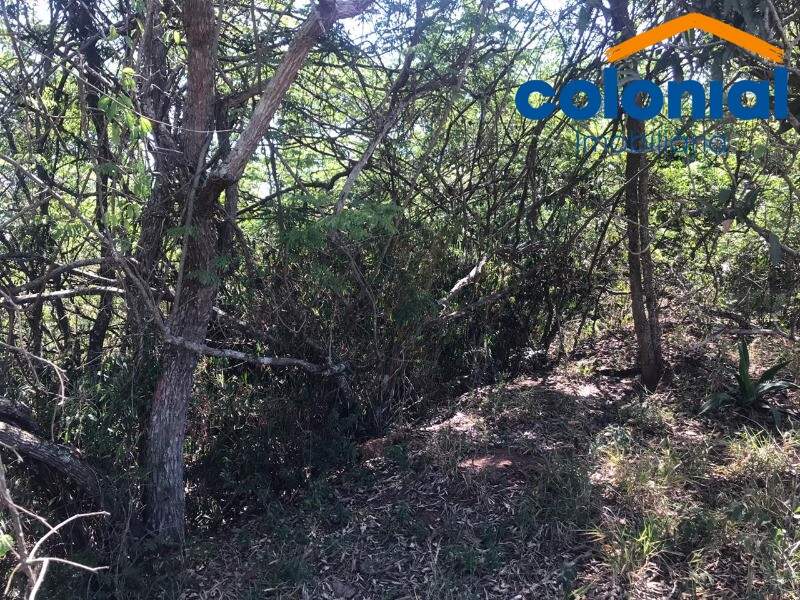 TERRENO à venda no CHÁCARA SAN MARTIN I: Foto 04