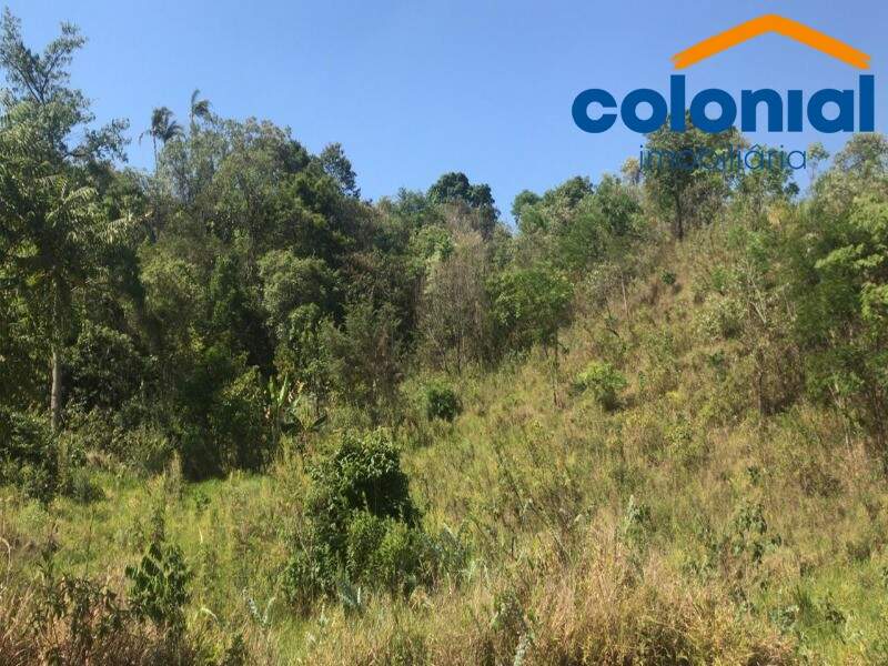 TERRENO à venda no CHÁCARA SAN MARTIN I: Foto 07
