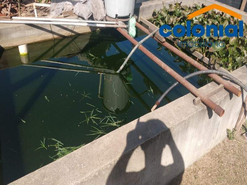 Chácara à venda no PAU ARCADO: Foto 04