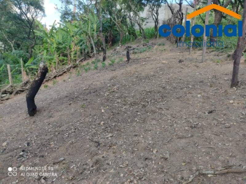 TERRENO à venda no VILA SOUZA: Foto 03