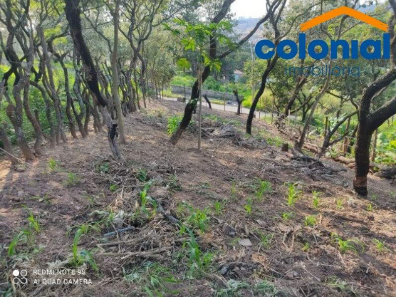 TERRENO à venda no VILA SOUZA: Foto 02