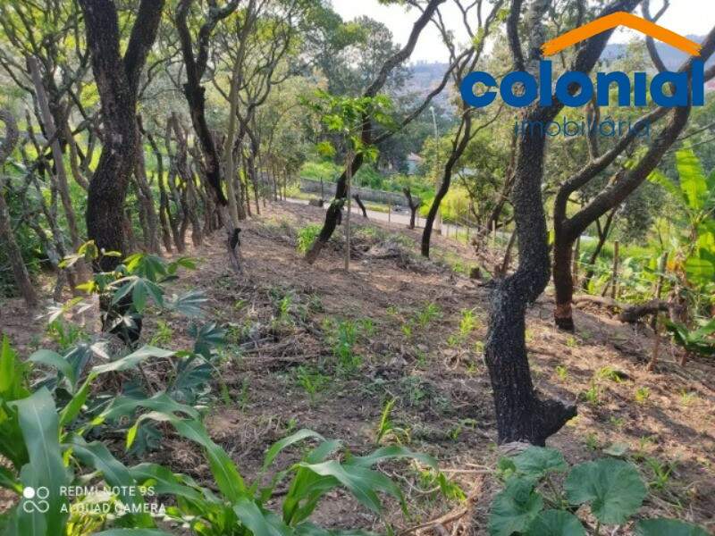 TERRENO à venda no VILA SOUZA: Foto 05
