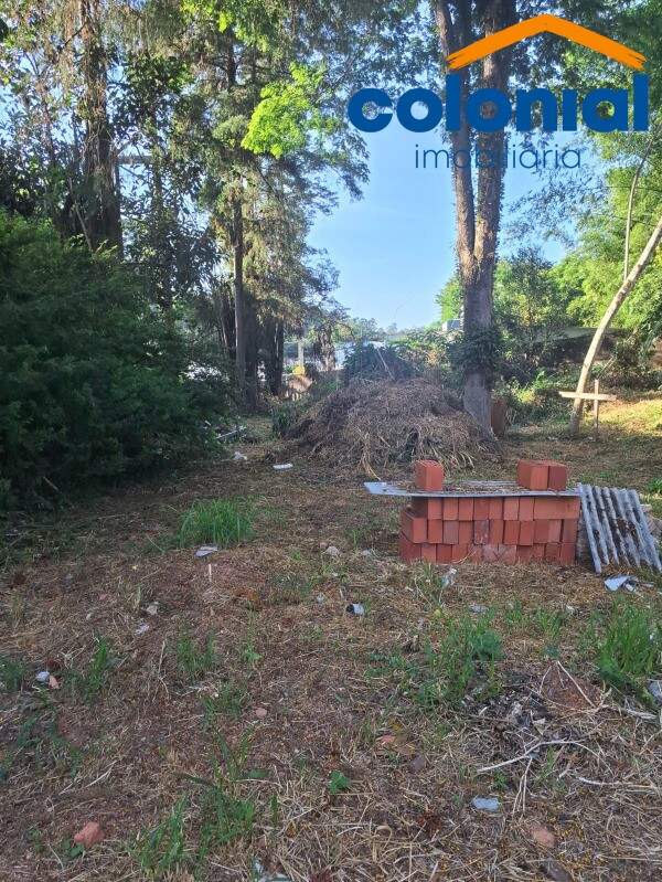 TERRENO à venda no Caxambu: Foto 05