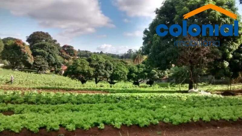 Chácara à venda no PINHAL: Foto 01
