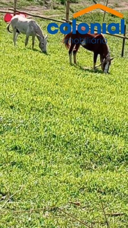 Chácara à venda no PINHAL: Foto 02