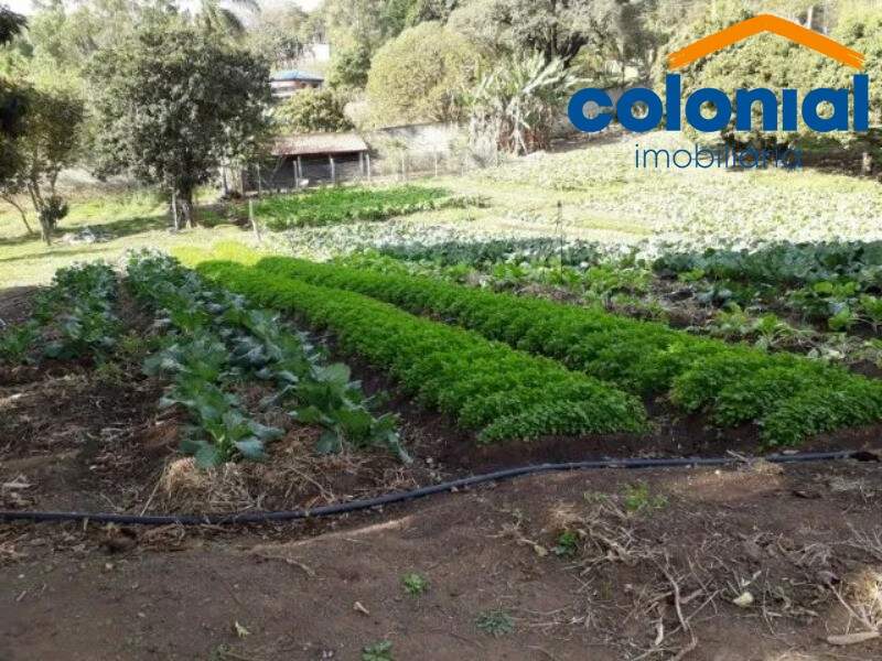 Chácara à venda no PINHAL: Foto 06