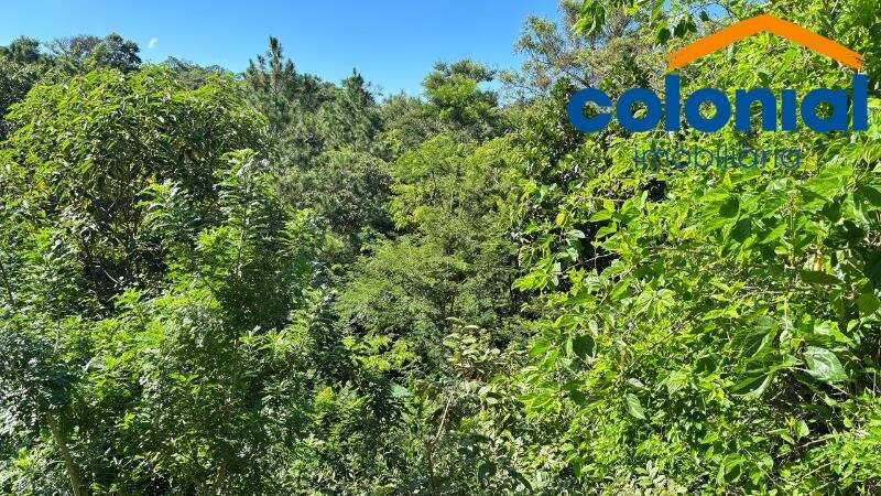 Chácara à venda no Caxambu: Foto 06
