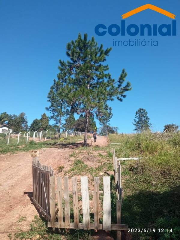TERRENO à venda no Figueira Branca: Foto 04