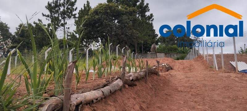 TERRENO à venda no Figueira Branca: Foto 06
