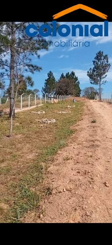 TERRENO à venda no Figueira Branca: Foto 02
