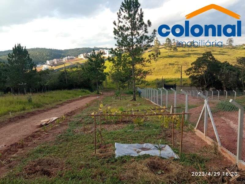 TERRENO à venda no Figueira Branca: Foto 05