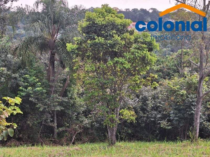 TERRENO à venda no IVOTURUCAIA: Foto 07