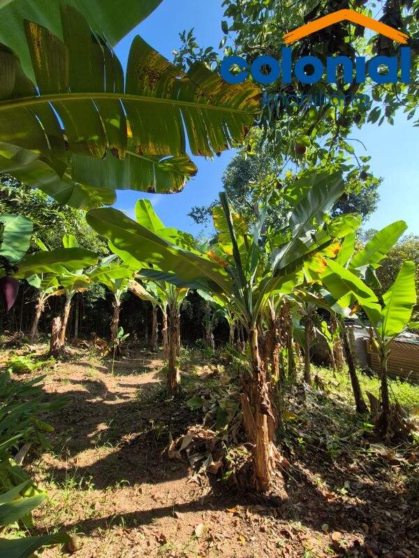 TERRENO à venda no CORRUPIRA: Foto 02