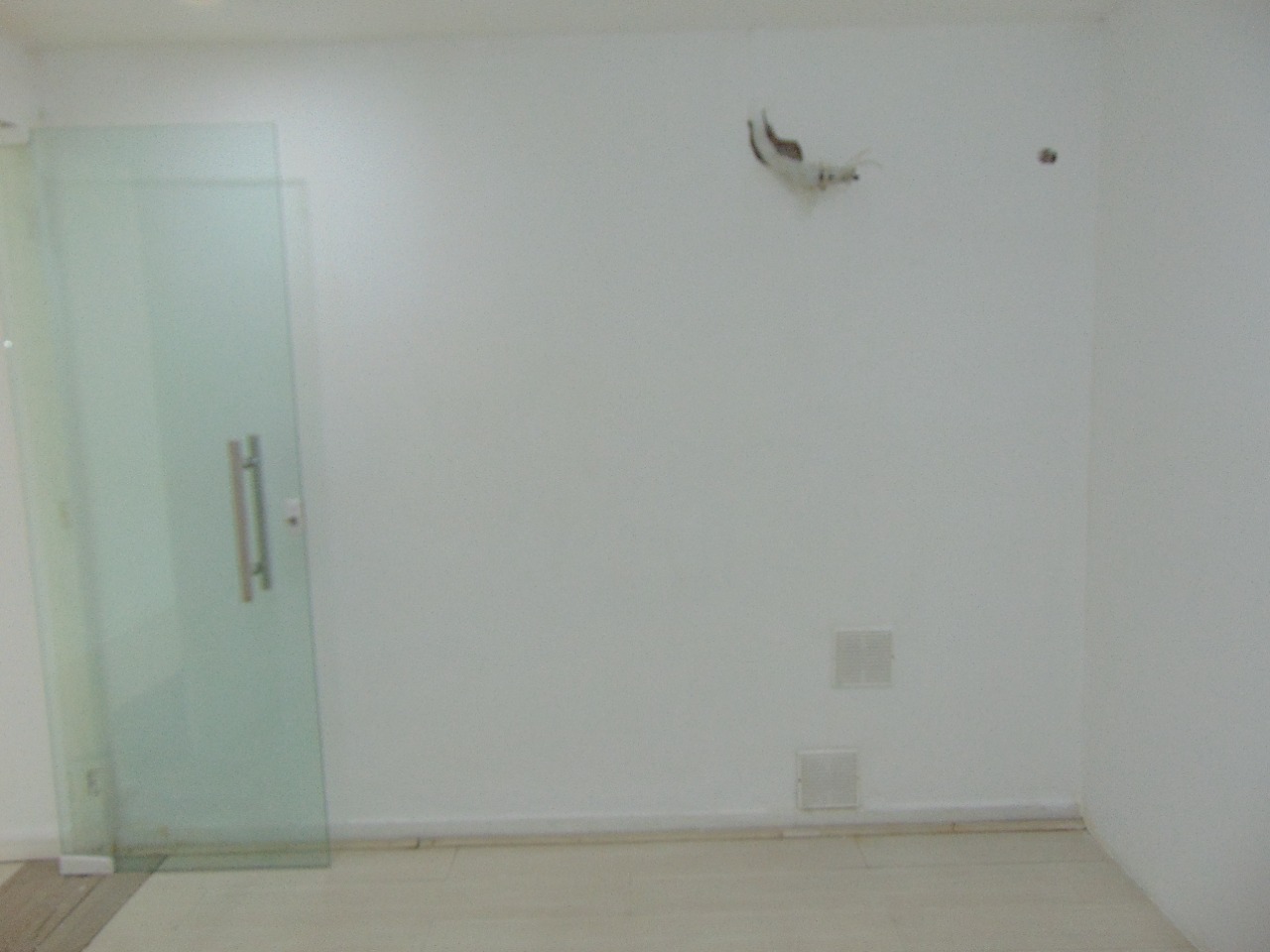 Salas/Conjuntos para aluguel no Barra da Tijuca: 