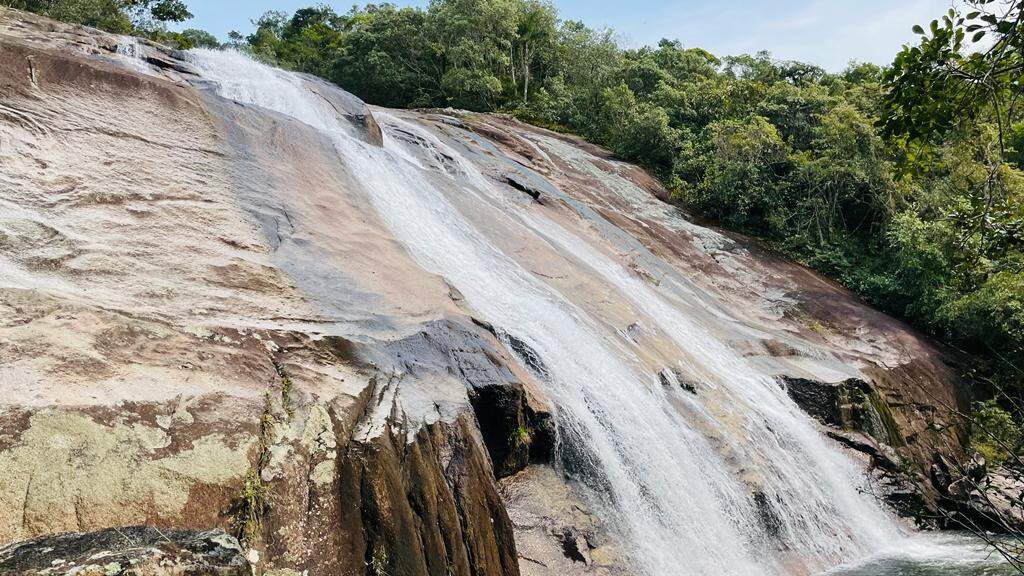 Fazenda à venda no Águas mornas: 