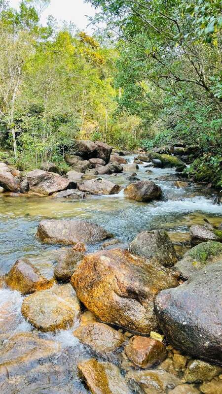 Fazenda à venda no Águas mornas: 