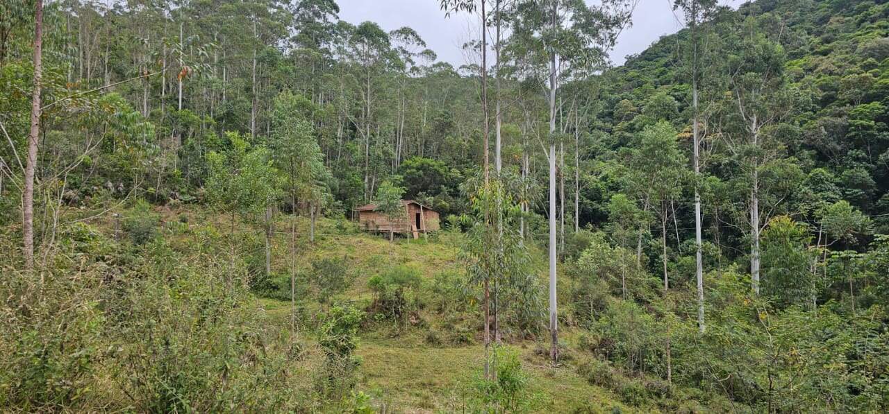 Fazenda à venda no Águas mornas: 