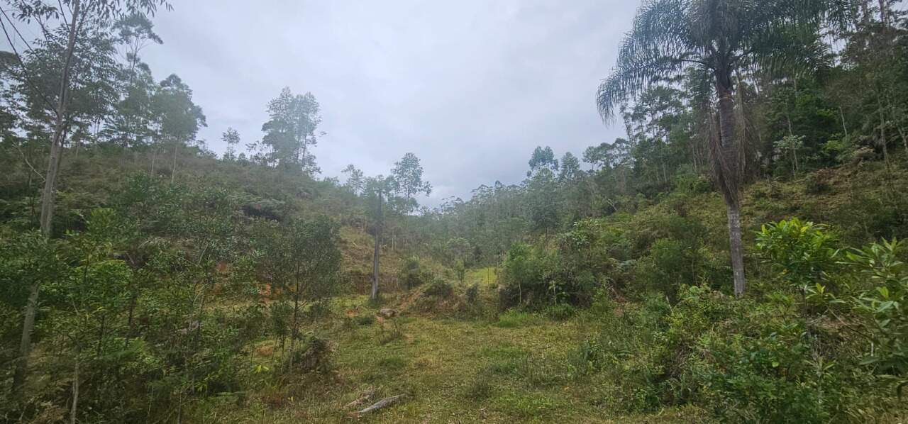 Fazenda à venda no Águas mornas: 