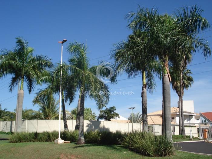 Casa de Condomínio com 3 quartos à venda, 460m² — foto 31 de 35