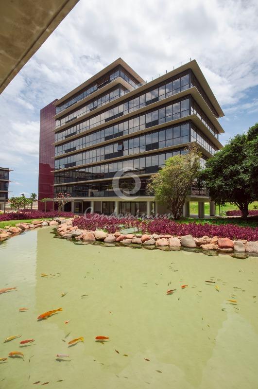 Conjunto Comercial / Sala  para aluguel, 45m² — foto 29 de 31