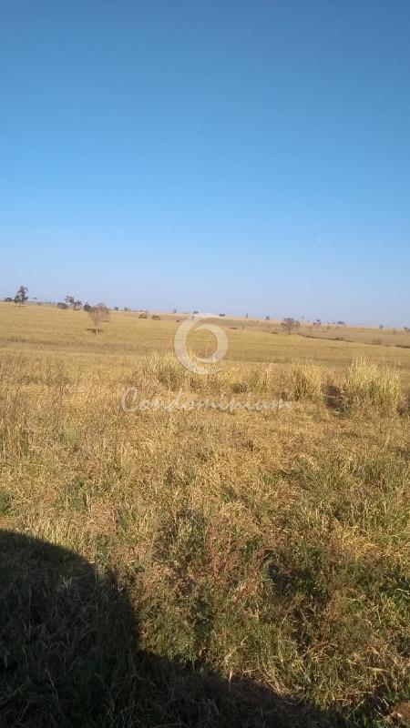 Fazenda / Sítio / Chácara  à venda, 374m² — foto 3 de 5