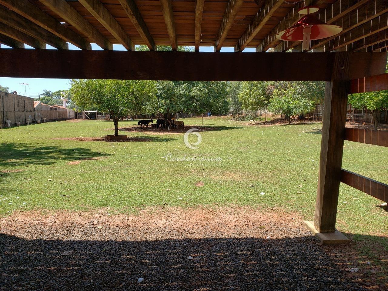 Fazenda / Sítio / Chácara  à venda, 2000m² — foto 5 de 12