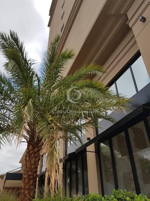 Loja / Salão / Ponto Comercial  para aluguel, 115m² — foto 6 de 40