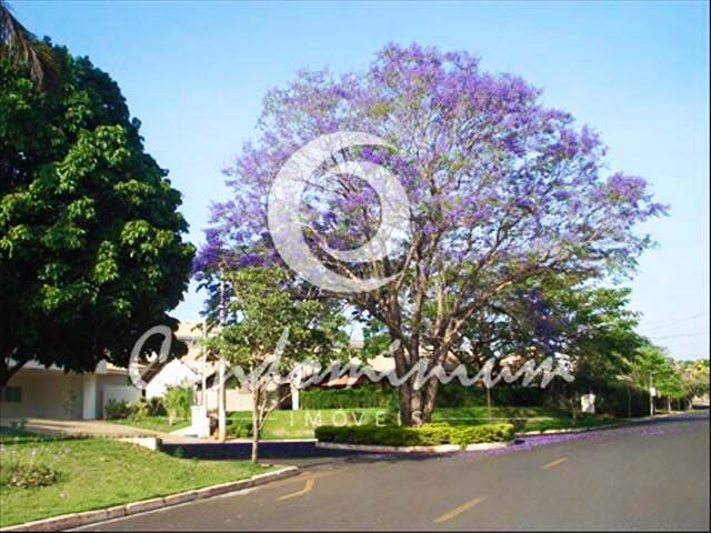 Casa de Condomínio com 3 quartos à venda, 220m² — foto 2 de 38