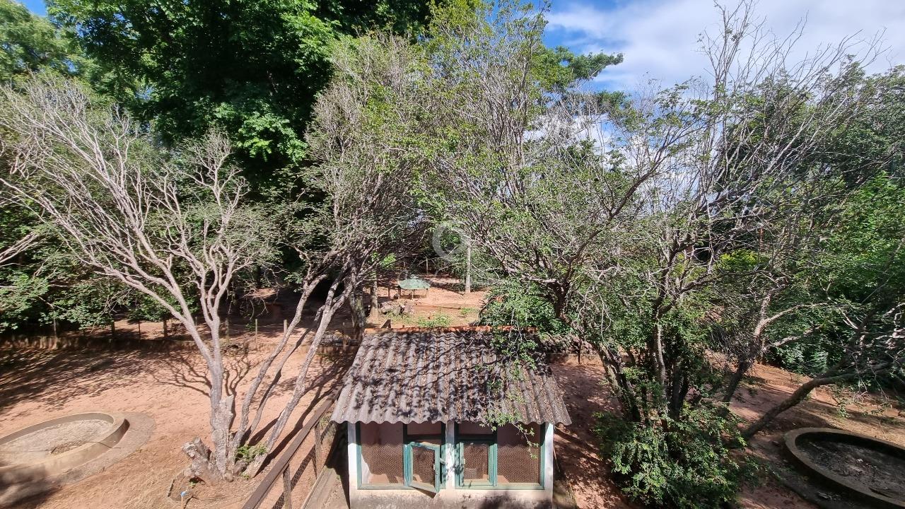 Fazenda / Sítio / Chácara  à venda, 800m² — foto 21 de 30