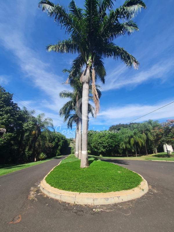 Terreno / Lote / Condomínio  à venda, 5006m² — foto 5 de 11