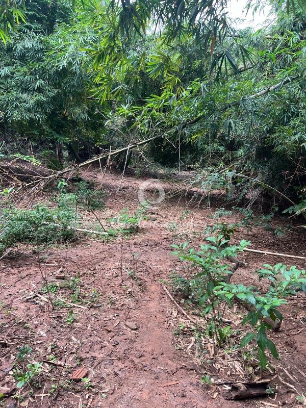 Área Comercial  à venda, 350m² — foto 8 de 11