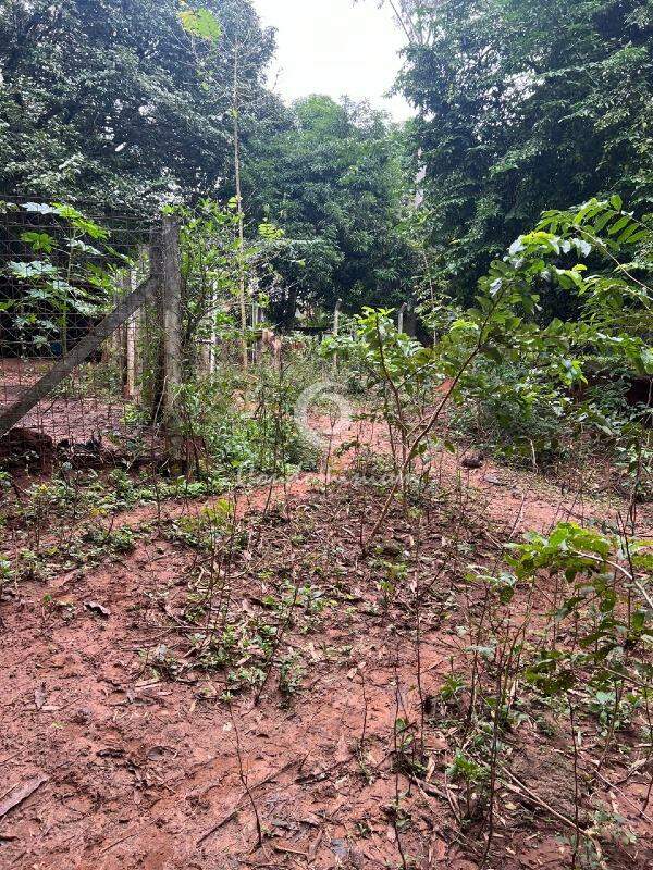 Área Comercial  à venda, 350m² — foto 9 de 11