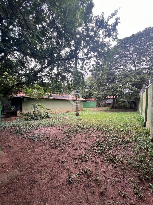 Área Comercial  à venda, 350m² — foto 11 de 11