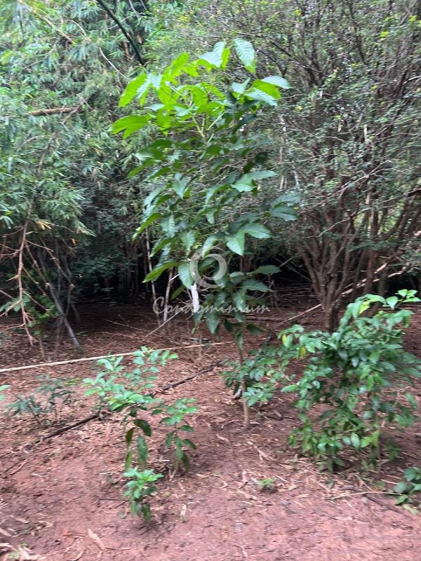 Área Comercial  à venda, 350m² — foto 3 de 11