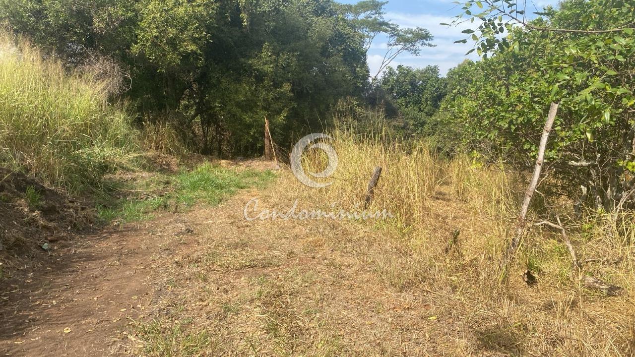 Fazenda / Sítio / Chácara  à venda, 7m² — foto 3 de 11