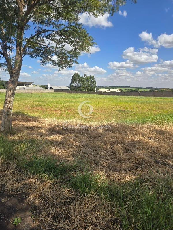 Terreno / Lote / Condomínio  à venda, 5000m² — foto 6 de 12