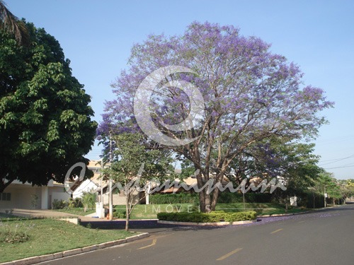 Casa de Condomínio com 4 quartos à venda, 600m² — foto 18 de 49